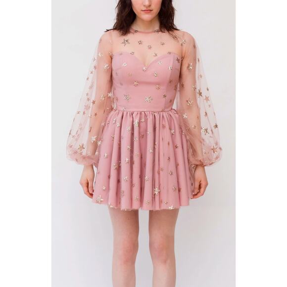 Lirika Matoshi Dresses & Skirts - Lirika Matoshi Teuta Pink Glitter Star Sweetheart Tulle Dress Size Medium